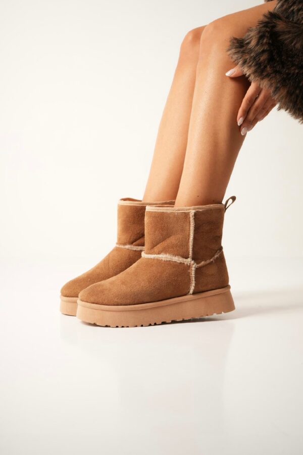 PANTUBOTA CAMEL - Image 3