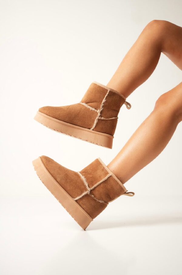 PANTUBOTA CAMEL - Image 2