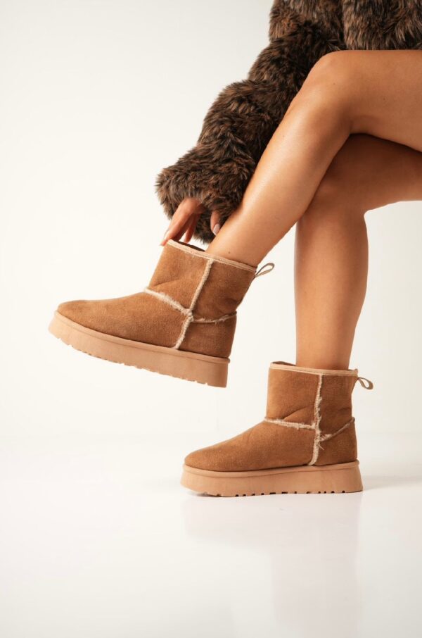 PANTUBOTA CAMEL